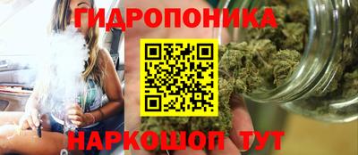 СК Камышлов