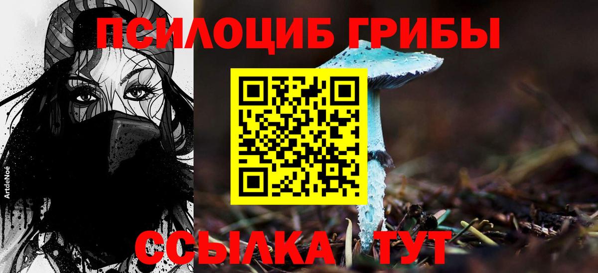 Копейск  Псилоцибиновые грибы Psilocybe  Вход с VPN 